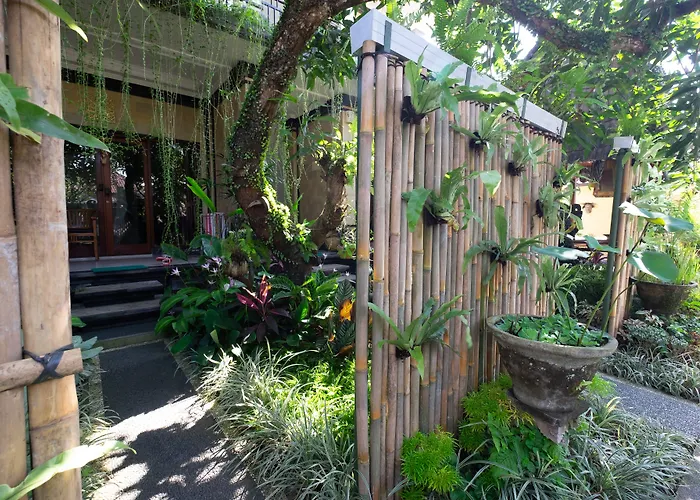 Jiwa's House Гостевой дом