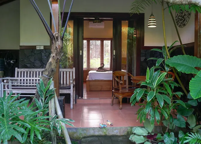 Jiwa's House Гостевой дом 2*